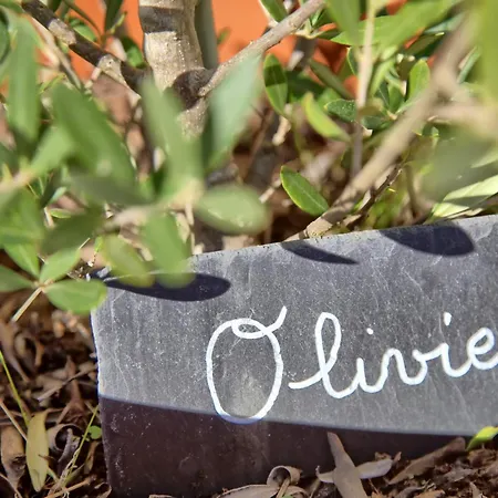 Apartment - Le Saule Reveur Nantilly
